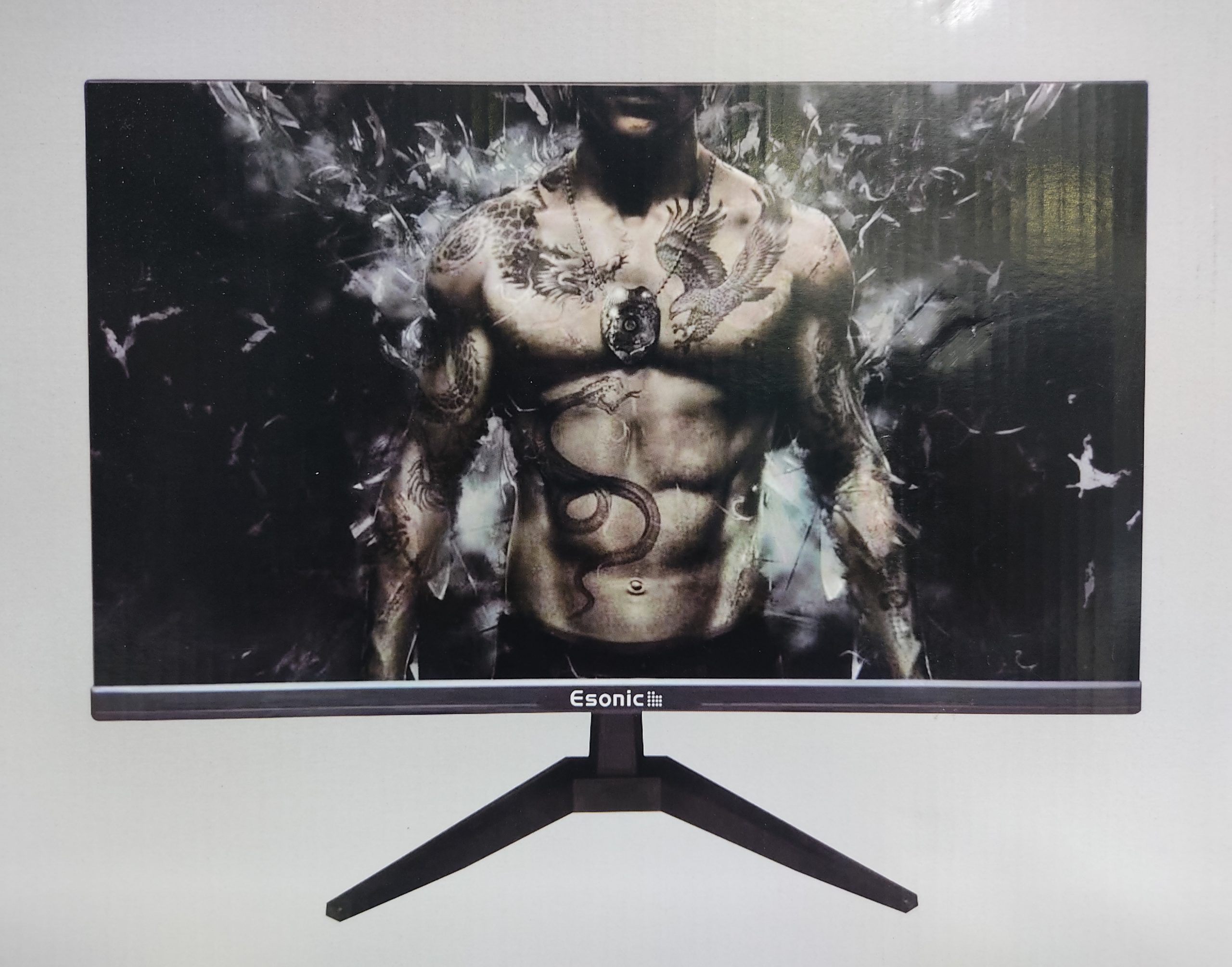 Esonic 19ELMW 19 Inch Wide Screen LED HD (China) Monitor